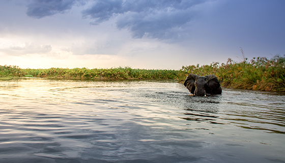 Okavango Delta